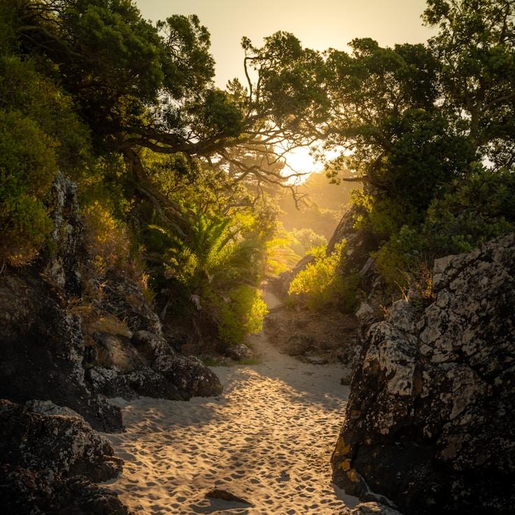 Alpine wilderness landscape